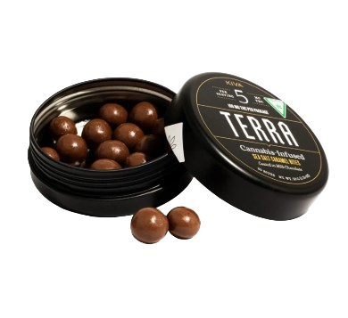 Terra Bites - Sea Salt Caramel - 20 Pieces - 5mg THC - Chocolate Bites - Kiva Confections - Hybrid