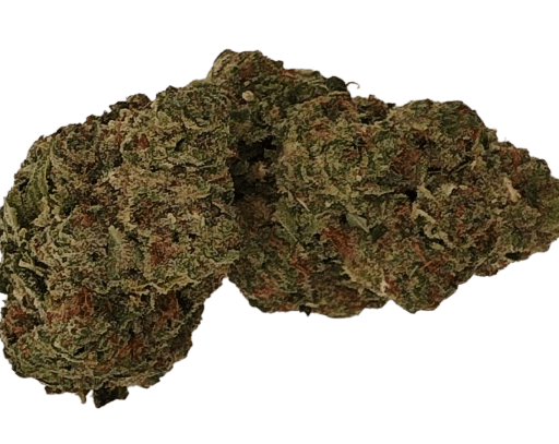 Plasma Gas - 26.44% - Bud - Exotic Genetix - Indica