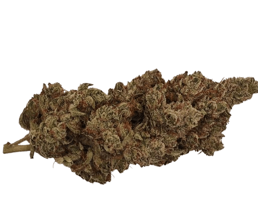 Gorilla Glue #4 - 24.012% - Bud - RIPE HERB - Hybrid