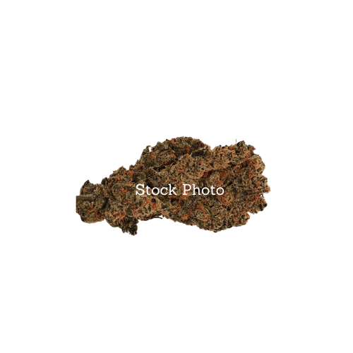 product-main-img-1279.png
