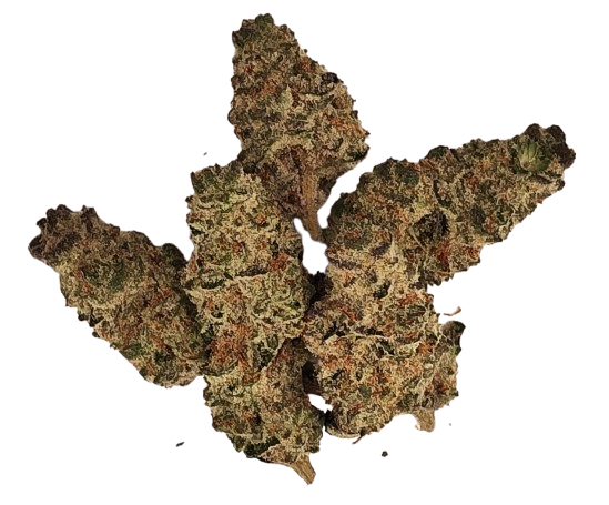 product-main-img-1305.png