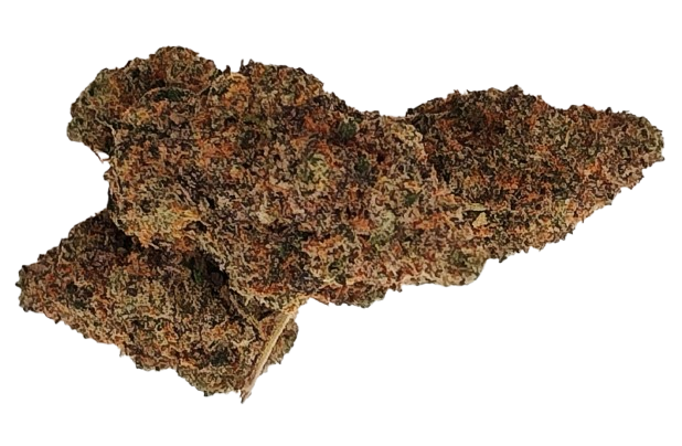 product-main-img-1308.png