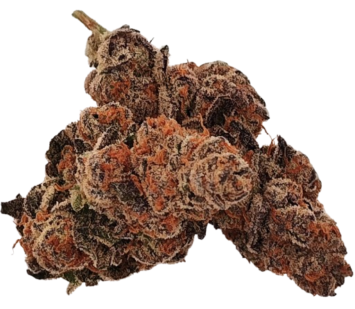 Glitter Bomb - 29.774% - Bud - Ripe Herb - Indica