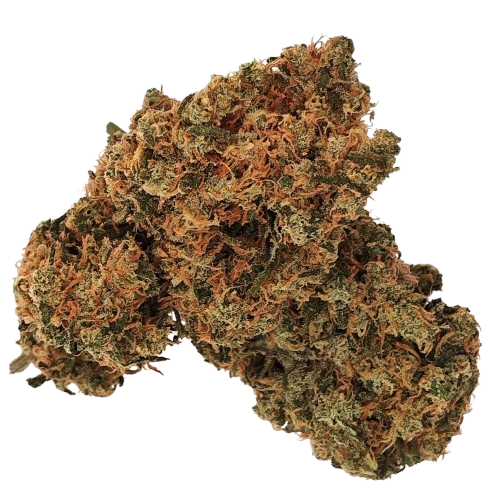 Golden Pineapple - 24.649% - Bud - Ripe Herb - Hybrid