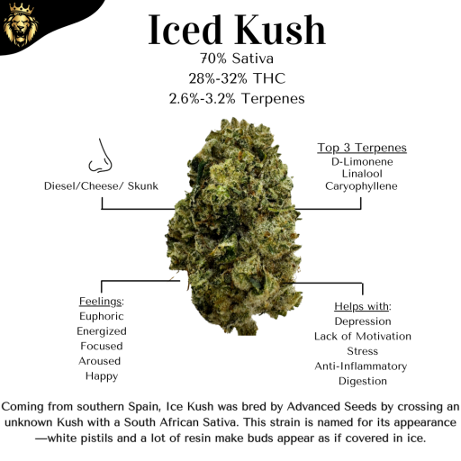 Iced Kush - 28.59% - Bud - APEX CANNABIS COMPANY - Sativa