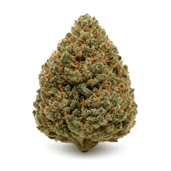 product-main-img-1668.png