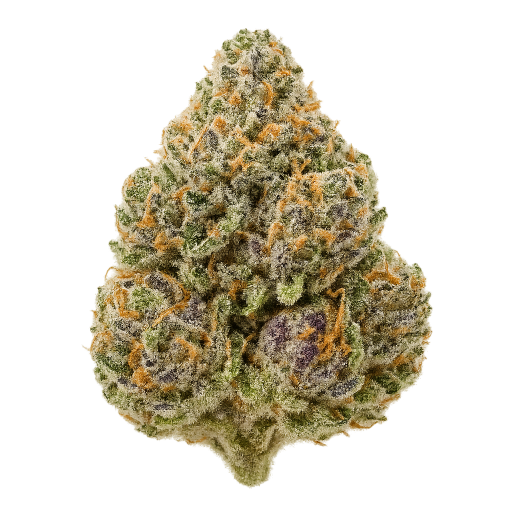 Glitter Bomb - 24.0633% - Bud - REDBUD ROOTS - Indica