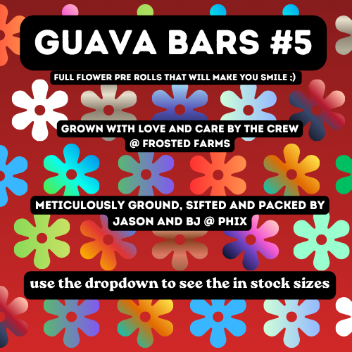Guava Bars #5 - Single Full Flower Pre Rolls - 26.939% - 0.75g-2g - PHIX - Sativa