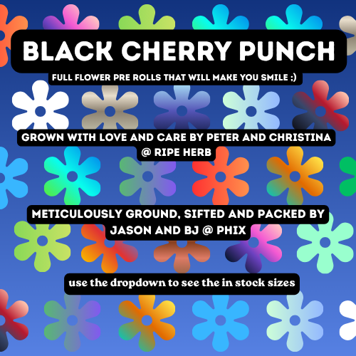 Black Cherry Punch - Single Full Flower Pre Rolls - 20.4% - 0.75g-2g - PHIX - Indica