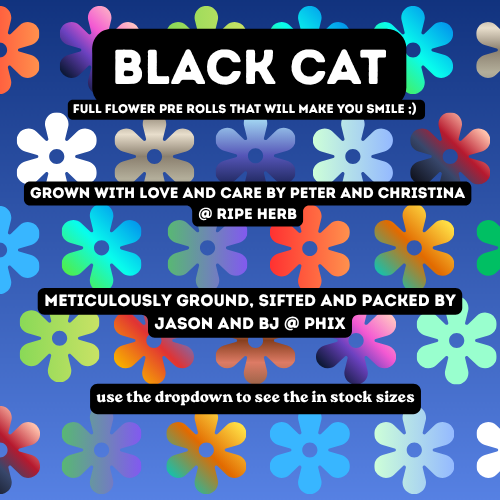 Black Cat - Single Full Flower Pre Rolls - 27.8% - 0.75g-2g - PHIX - Indica