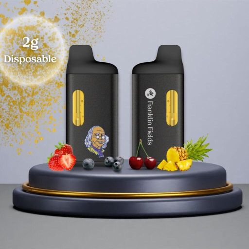 Franklin Fields - 2g - Distilate Disposable - Disposable - FRANKLIN FIELDS - N/A