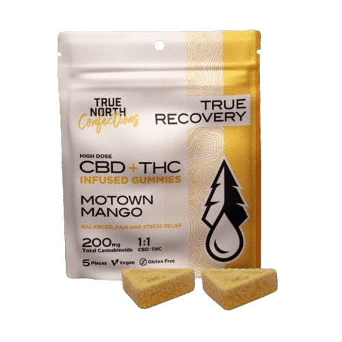 Motown Mango - 5 Pieces - 20mg THC : 20mg CBD - Vegan & Gluten Free Gummies - True North - Hybrid